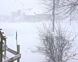 The weather is treacherous all over the Midwest. Oakland NE is in the heart of blizzard conditions. There are several inches of snow on the ground with more to come. Photo Credit/Denise Gilliland, Editor and Chief, Kat Country Hub.